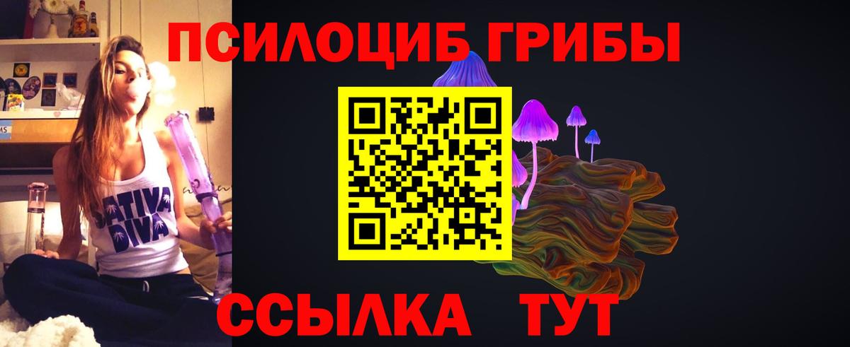 где купить наркоту  Галлюциногенные грибы мухоморы  Вход с VPN  Дубна 